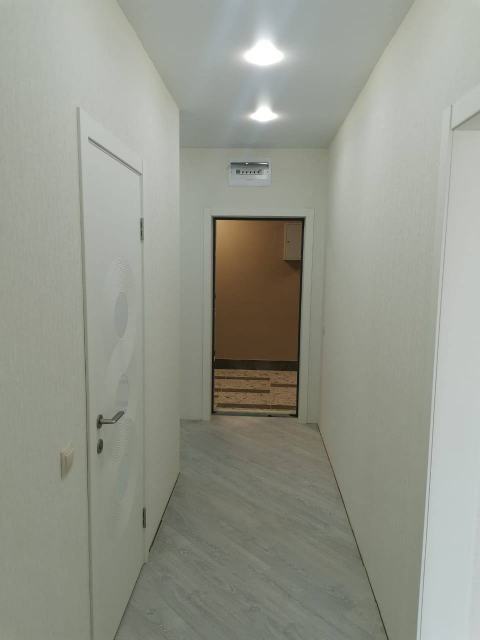 Dzen, фото 9